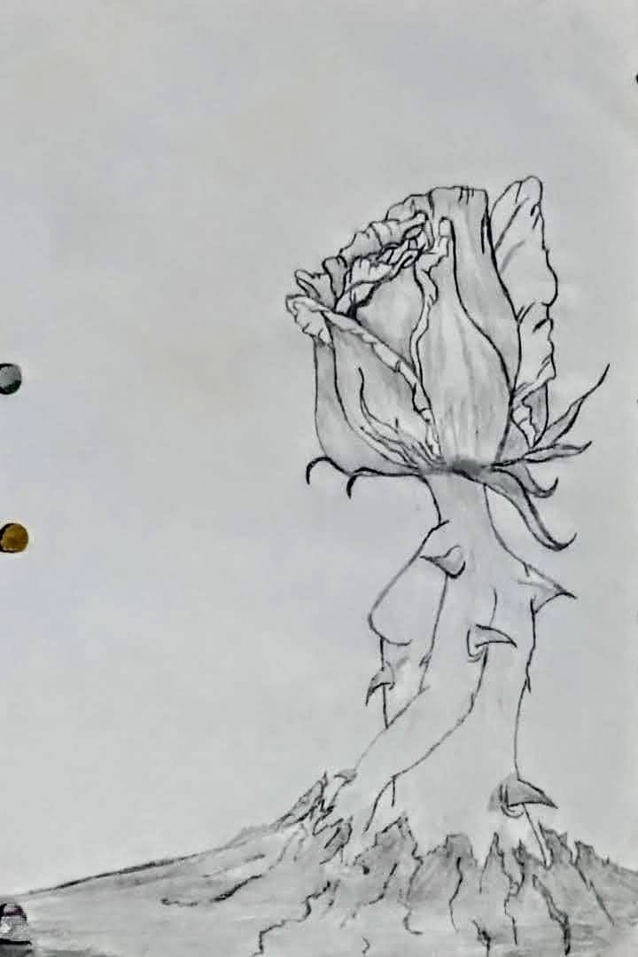 mulher-rosa saindo do asfalto